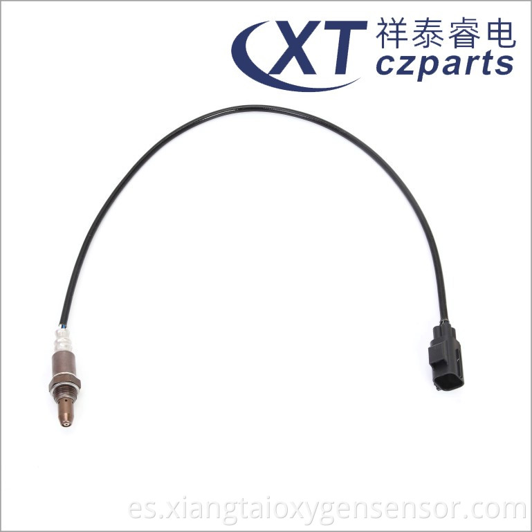 Oxygen Sensor